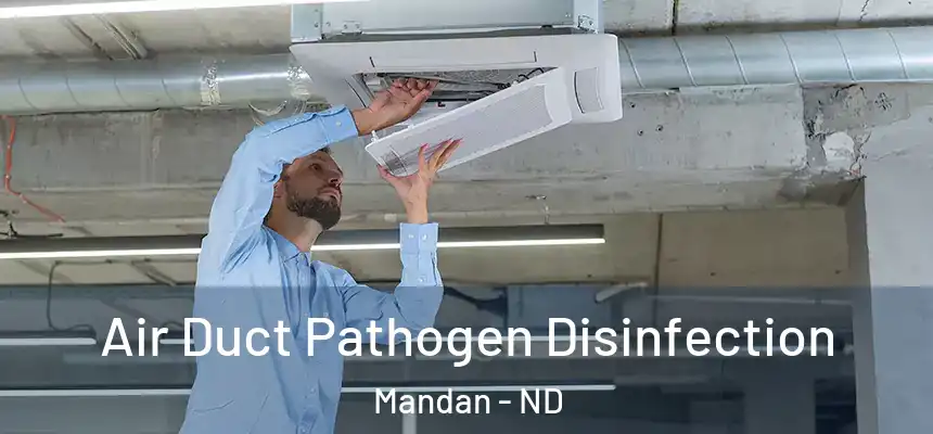  Air Duct Pathogen Disinfection Mandan - ND