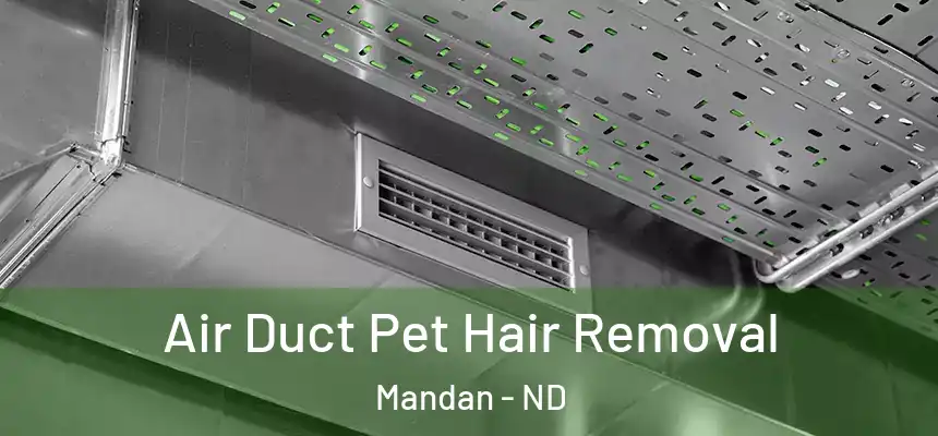 Air Duct Pet Hair Removal Mandan - ND