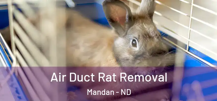 Air Duct Rat Removal Mandan - ND