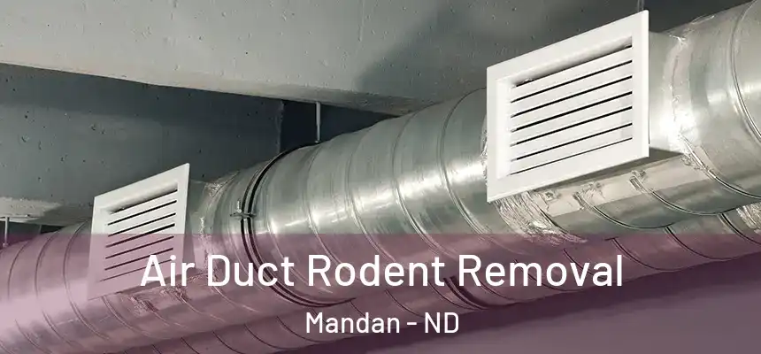  Air Duct Rodent Removal Mandan - ND