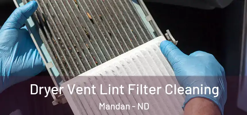 Dryer Vent Lint Filter Cleaning Mandan - ND