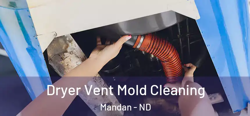  Dryer Vent Mold Cleaning Mandan - ND