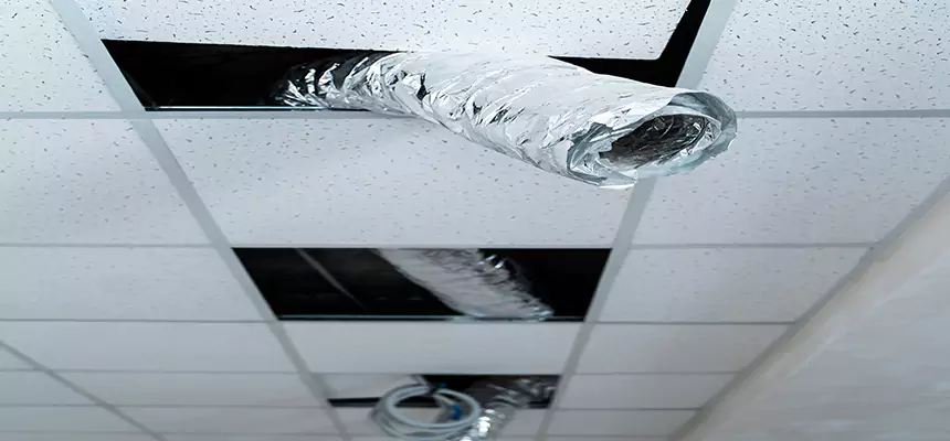 Affordable HVAC Sanitizing After Pest Removal in Mandan