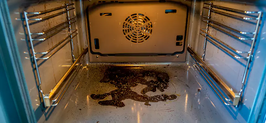 Our Dryer Vent Mold Cleaning Services in Mandan, ND