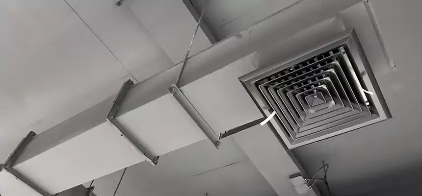 Our Rodent Droppings In Vents Services in Mandan, ND