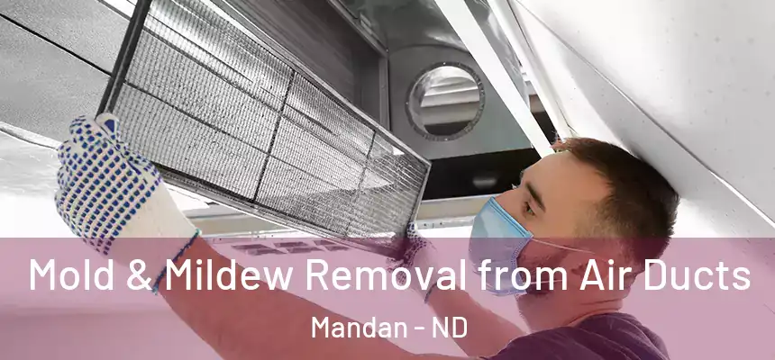  Mold & Mildew Removal from Air Ducts Mandan - ND