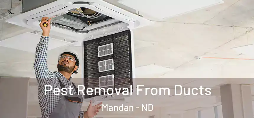 Pest Removal From Ducts Mandan - ND