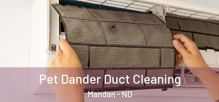 Pet Dander Duct Cleaning Mandan - ND