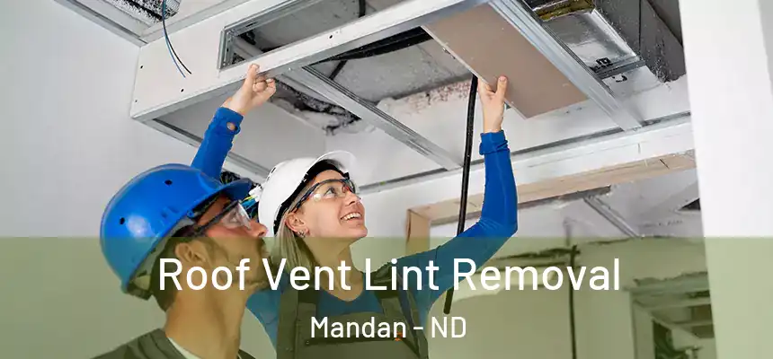  Roof Vent Lint Removal Mandan - ND