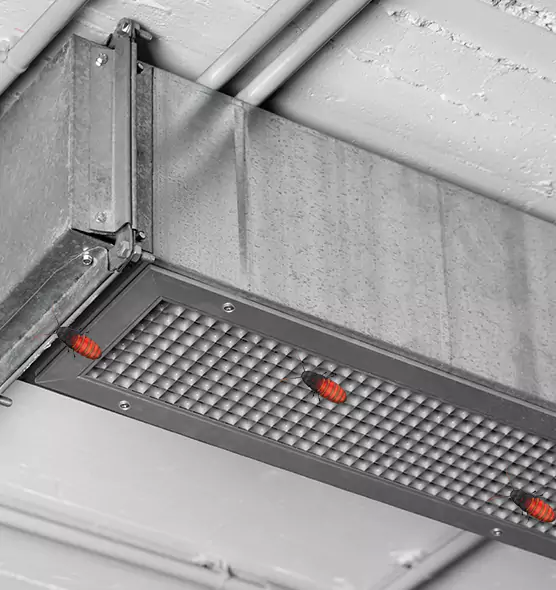 Affordable Insect Removal from Air Ducts in Mandan, ND
