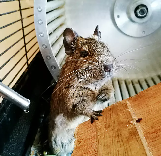 Why Homeowners & Businesses Trust Us Mandan, ND