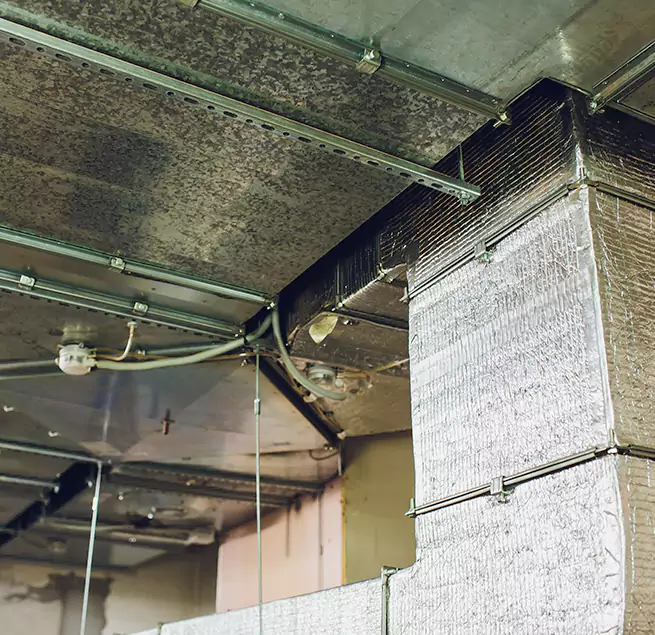 Why Homeowners & Businesses Trust Us in Mandan, ND?